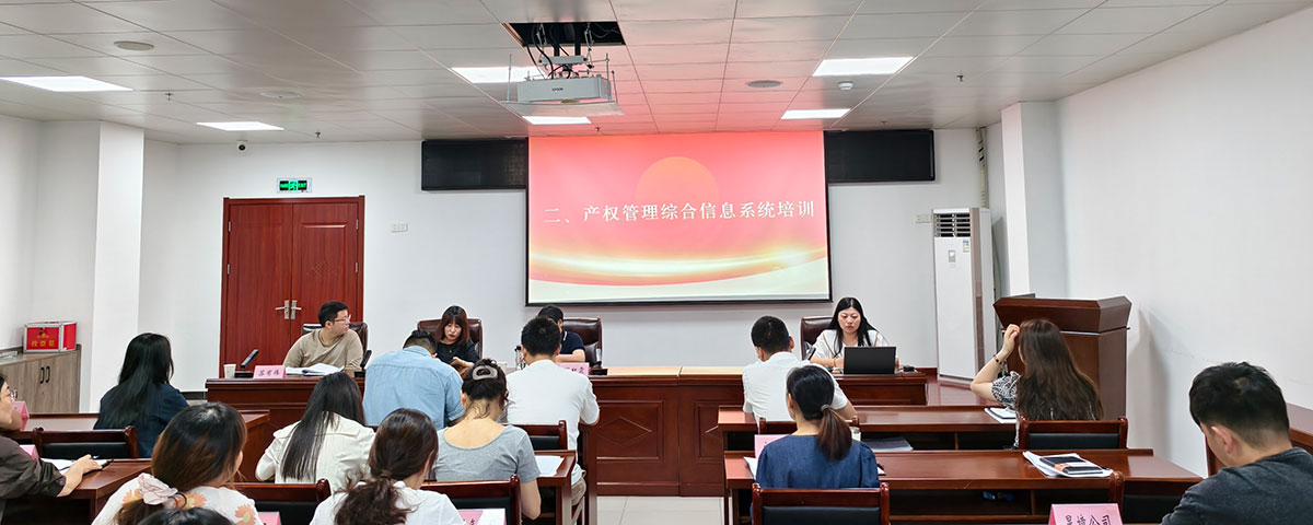 屯溪區(qū)國投集團開展國企政策文件學習與產(chǎn)權管理系統(tǒng)專題培訓會