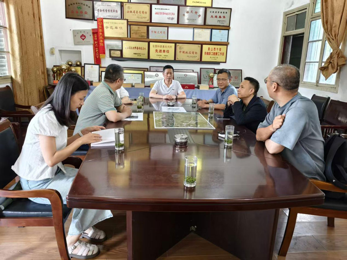 江蘇外聯(lián)采考察團到實驗茶場考察，共商茶產(chǎn)業(yè)合作新藍圖